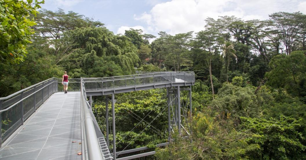 hiking singapore